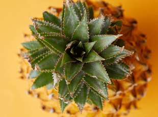 The easiest ever osso buco